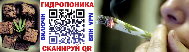 блэк спрут сайт  Севск  Cannafood конопля 