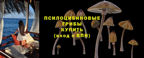 гашик Вязники
