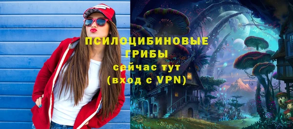 стаф Горнозаводск