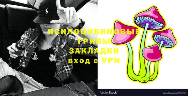 СК Вязьма