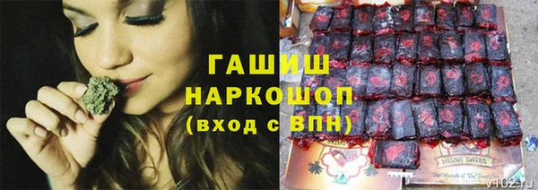 СК Вязьма